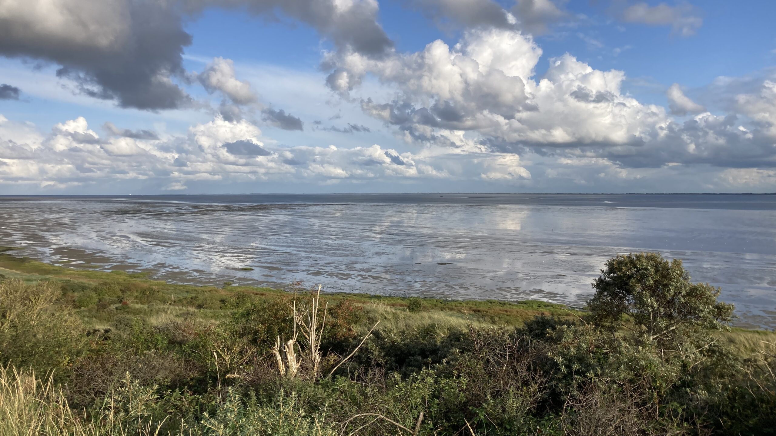 Natuurgebied het Oerd  Vennoot Kooikersduinen Ameland Natura2000