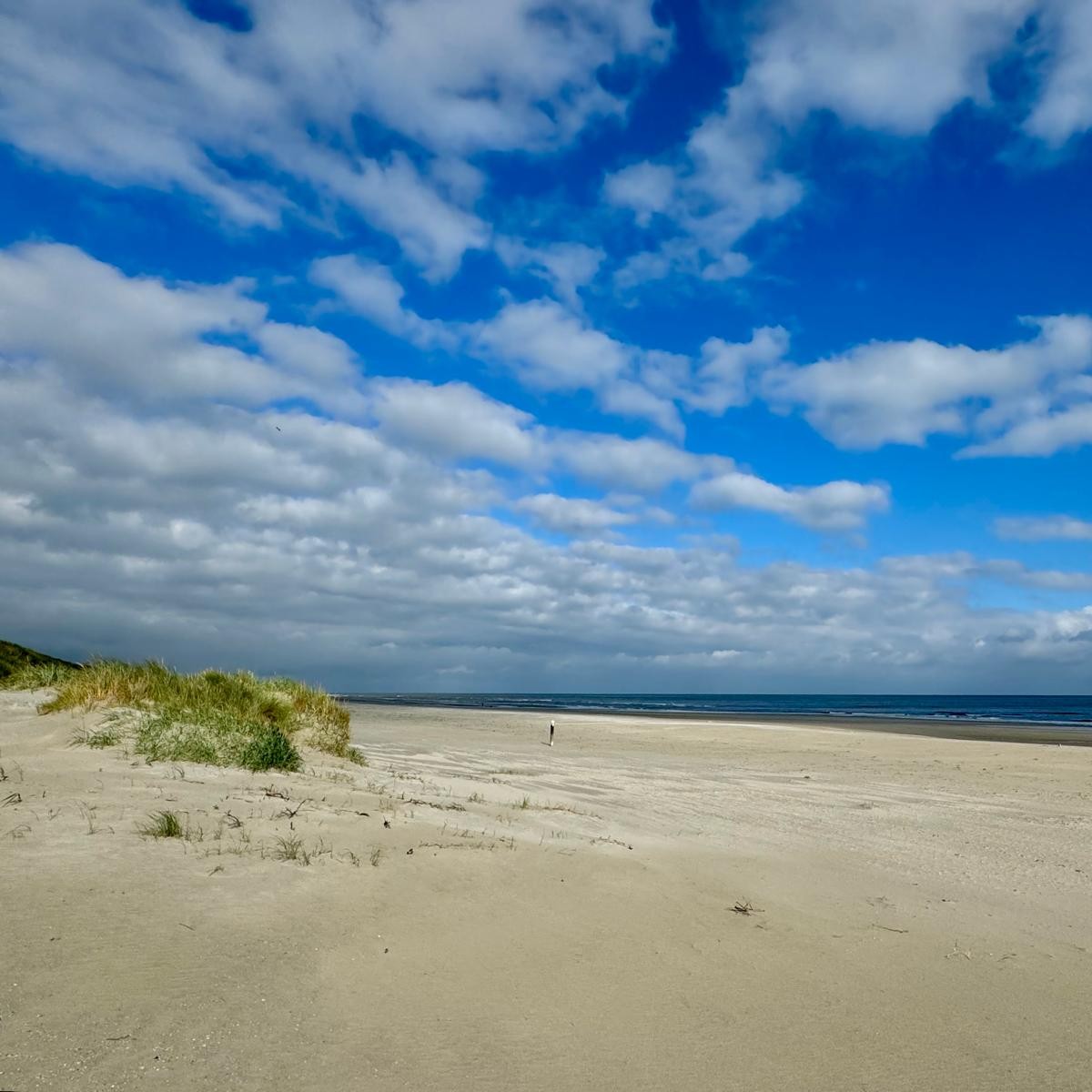 Strand Ameland Noordzee Buren Nes