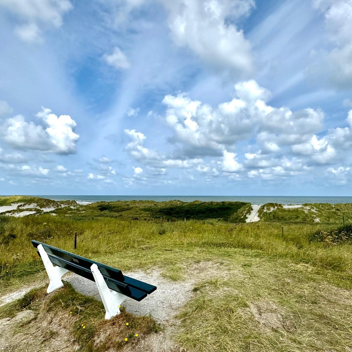 Bankje in de duinen bij het strand op Ameland