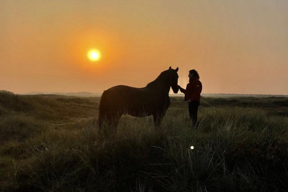 Fries Paard Vennoot Kooiker duinen Buren Ameland