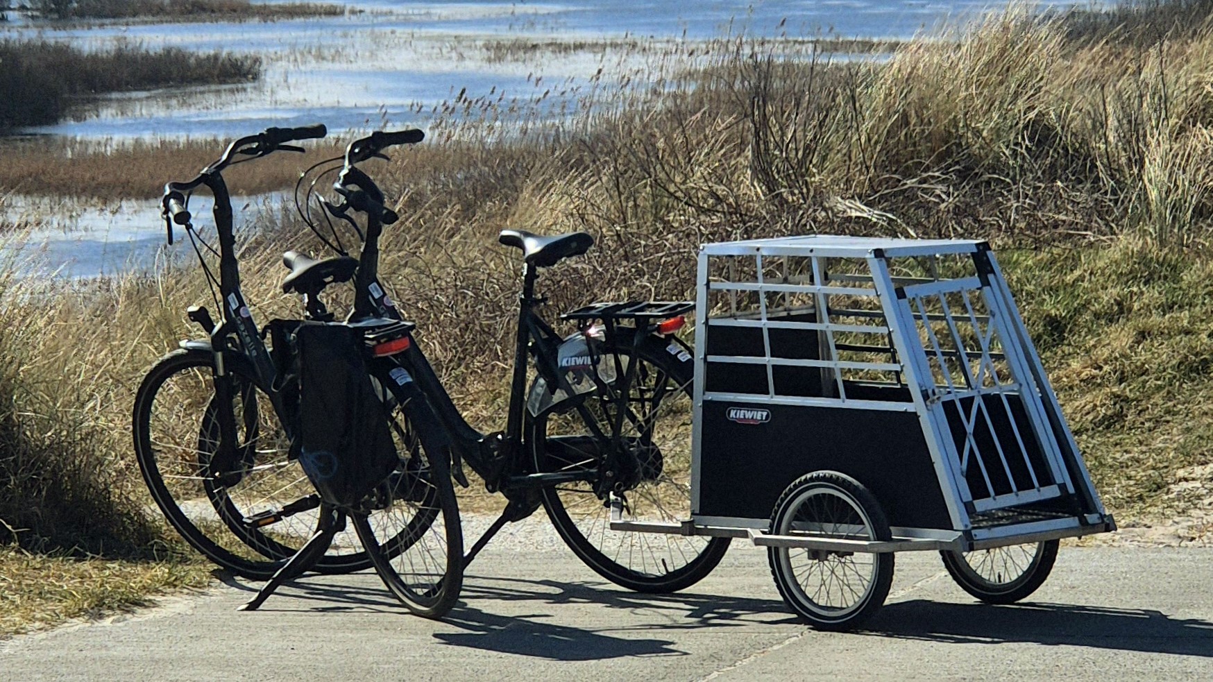 Fietsen op Ameland huren fietsvakantie fietspaden