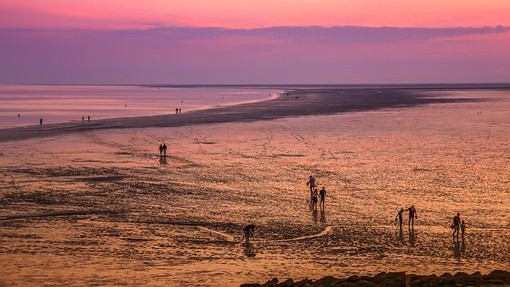 Wadlopen naar op Ameland waddenzee laagwater eb wad