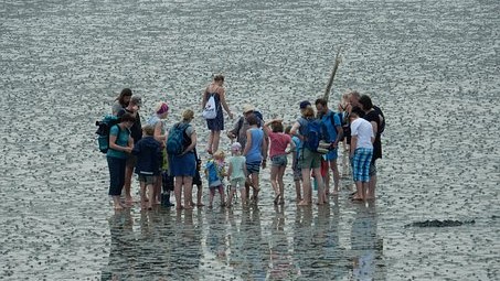Wadloopexcursie Ameland waddenzee eb laagwater oesters mosselen wadexcursie