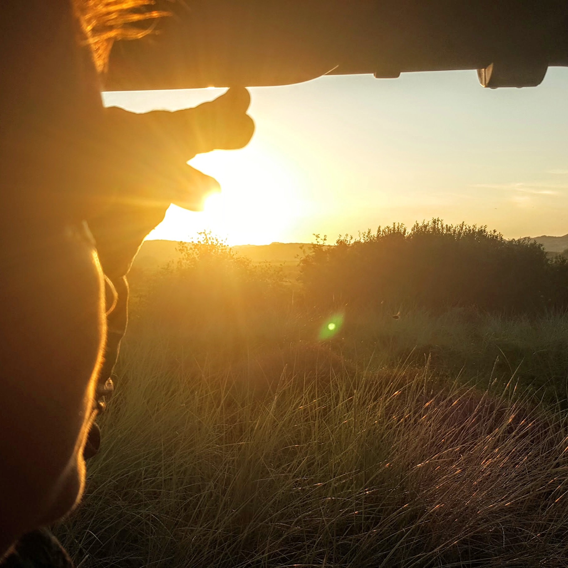 Natuur ontdekken op Ameland De natuur op Ameland is divers en rijk aan flora en fauna. Ontdek de natuur op het Oerd, in de Kooikersduinen of onder de vuurtoren op Ameland