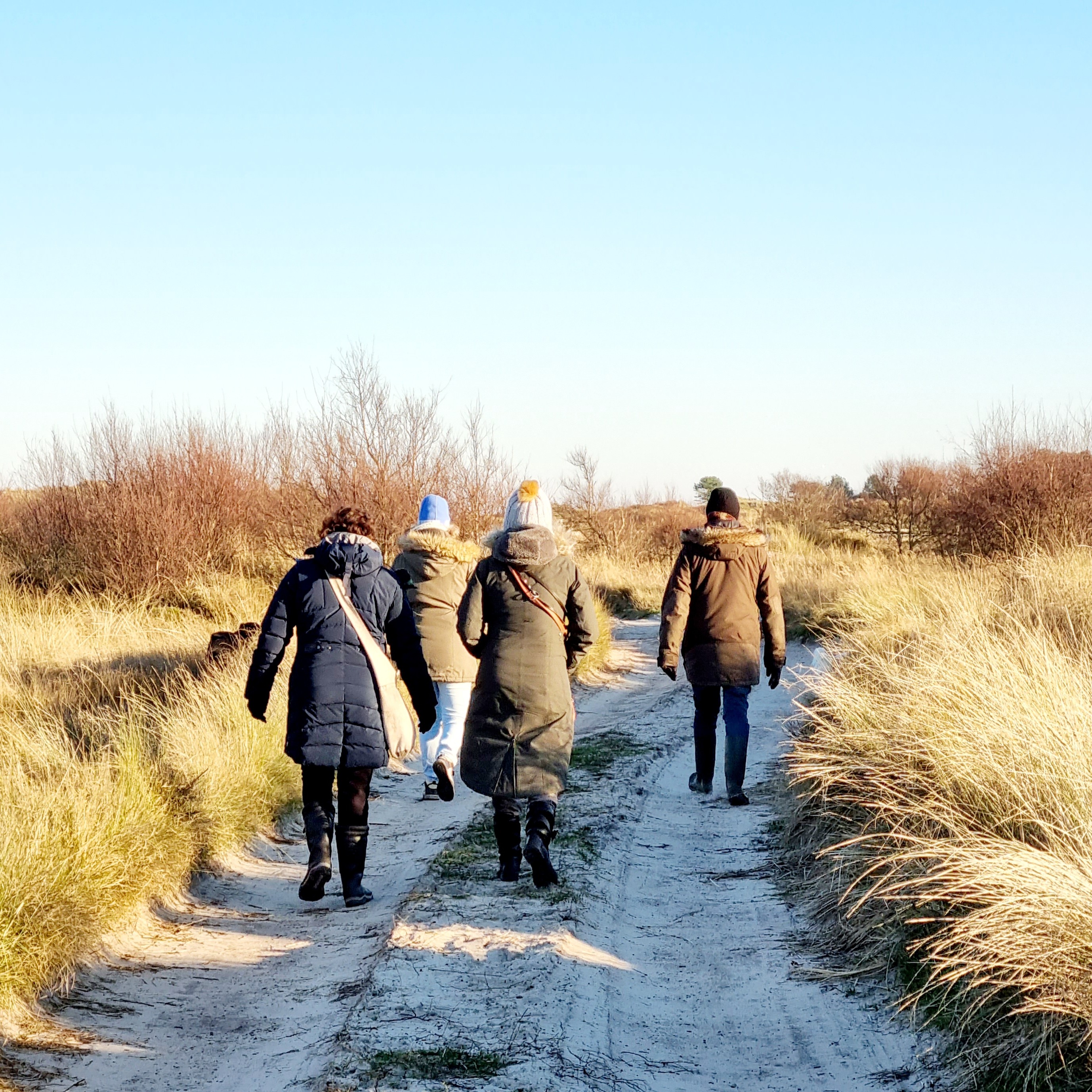 Wandeltocht op Ameland door de duinen, bos en over het Noordzee strand en langs het wad lopen en de Waddenzee