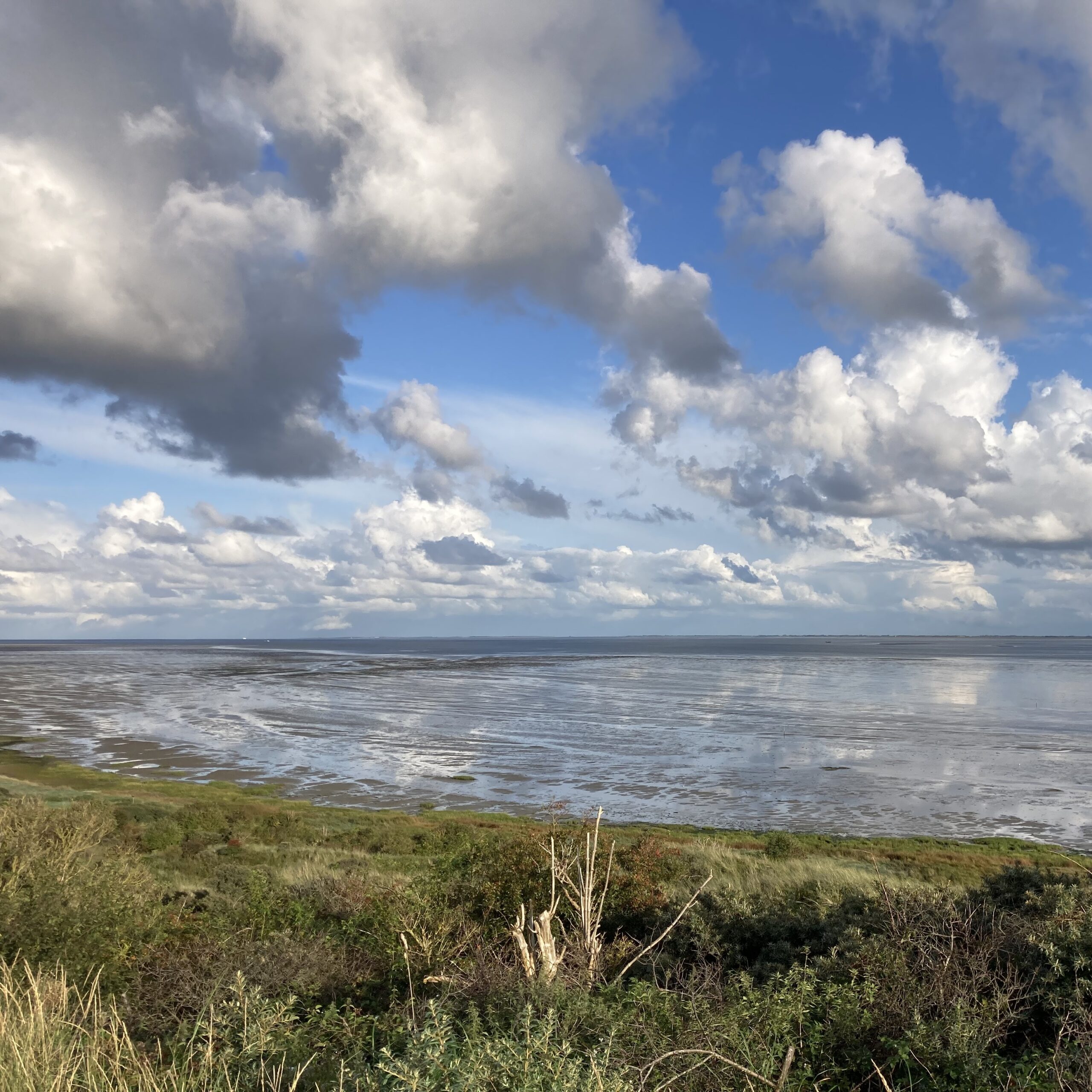 Wad slik eb Ameland Oerd