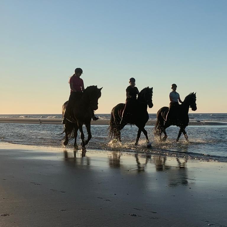 Paardrijden op Friese paarden over het Noordzee strand Ameland vakantie met paard