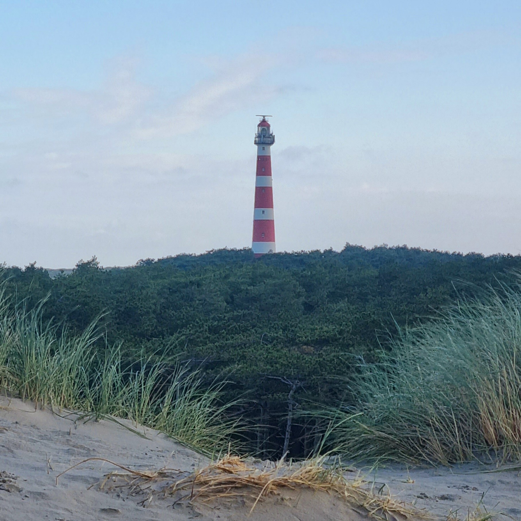 Vuurtoren Ameland Vuurtoren van Ameland Hollum in de duinen aan zee