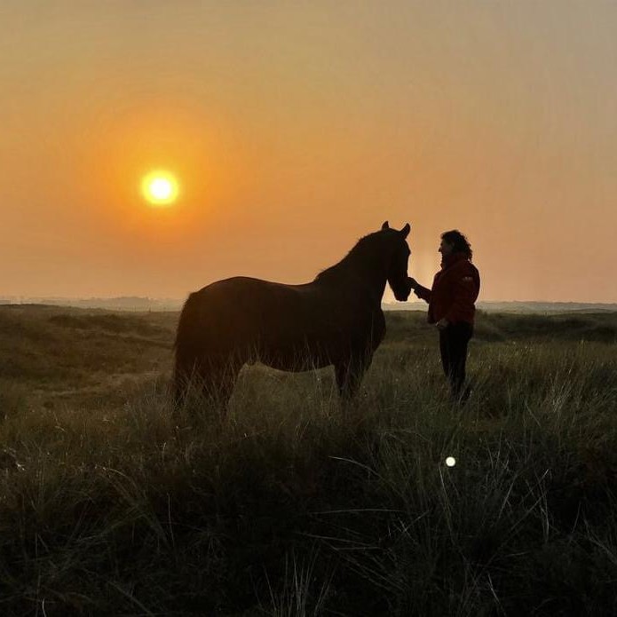 Fries paard Ameland Fries Paard Vennoot Kooiker duinen Buren Ameland
