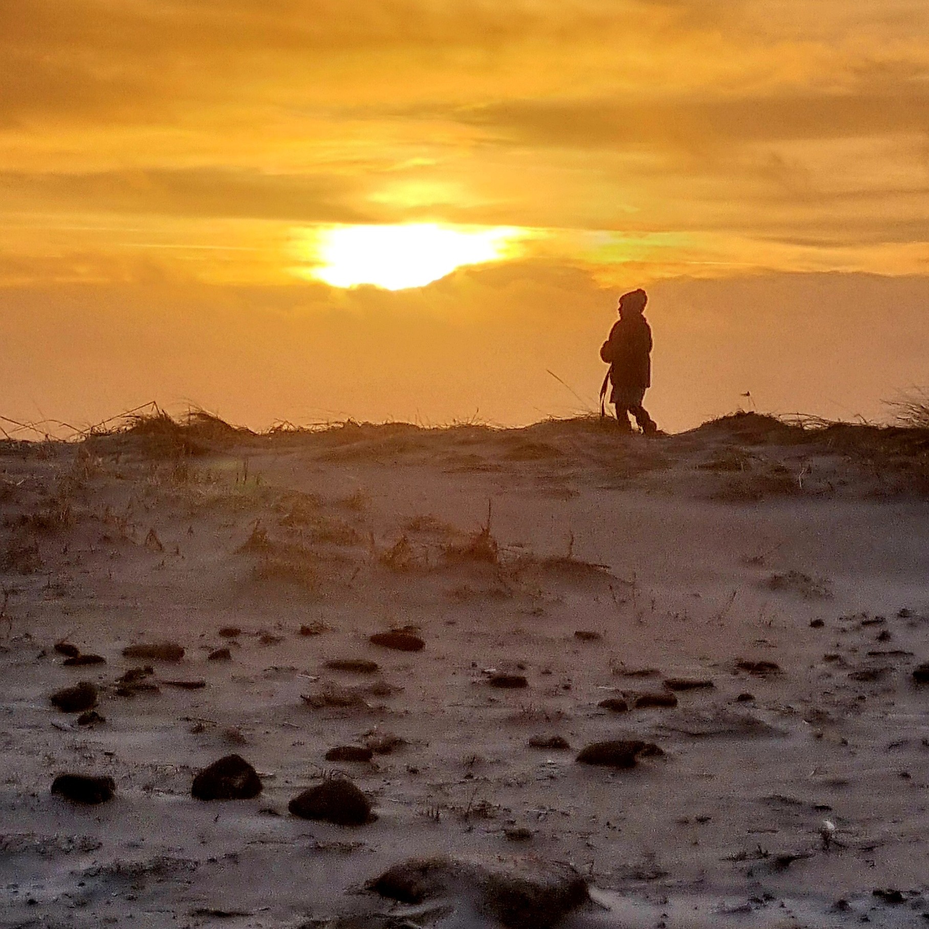 Wandelen op Ameland Ontspannen vakantie naar Ameland met het gezin of een actief weekend met familie naar Ameland. Wandelen door de natuur of fietsen door de duinen en spelen op het strand