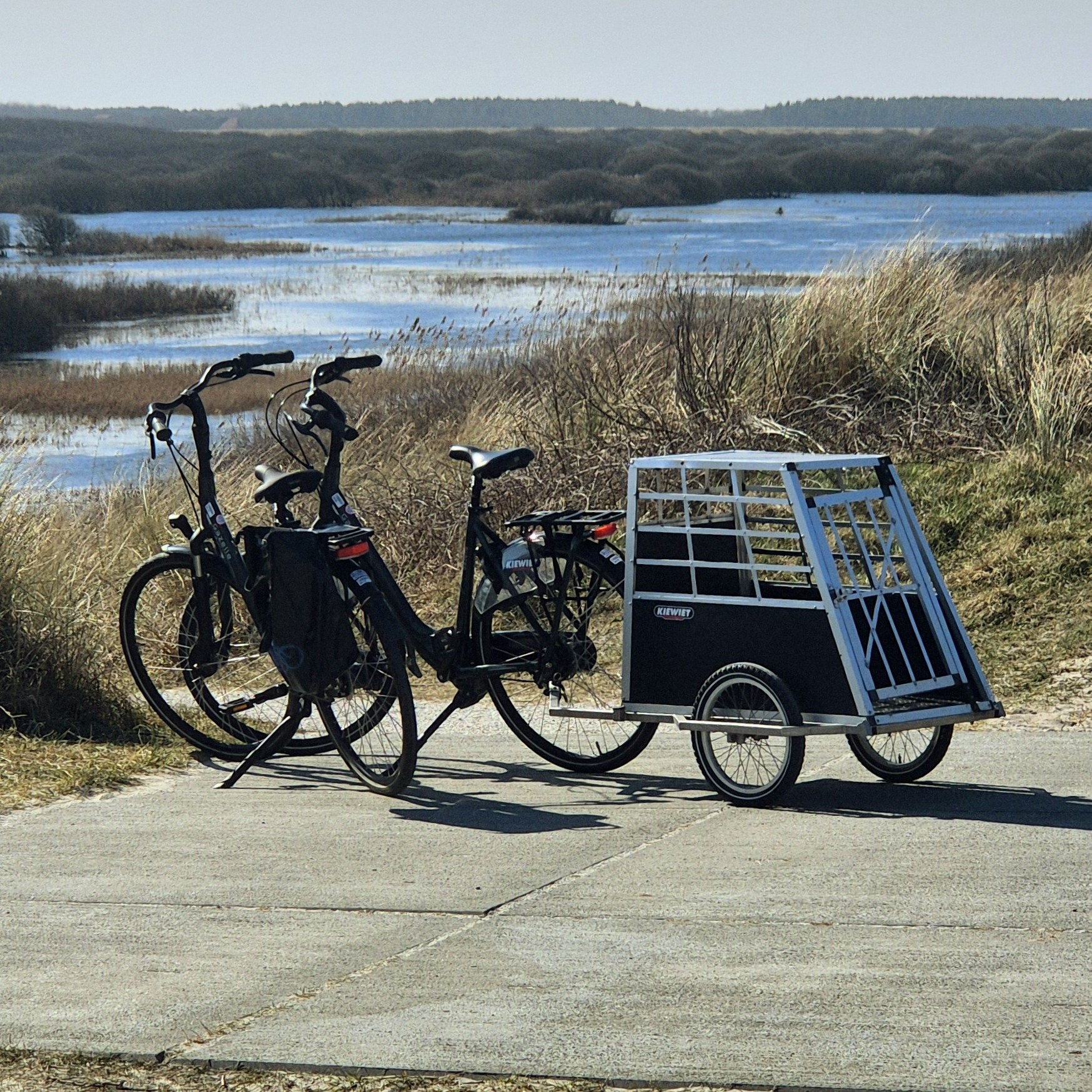 Te fiets op Ameland Fietsen op Ameland huren fietsvakantie fietspaden