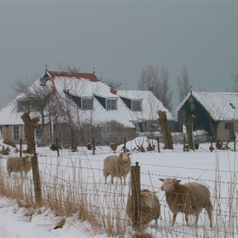 Kerst op Ameland Kerst vieren op Ameland witte kerst vakantie Waddeneilanden