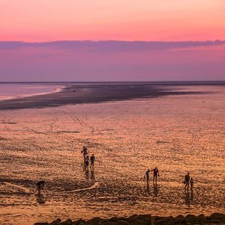 Wadlopen Ameland Wadlopen naar op Ameland waddenzee laagwater eb wad